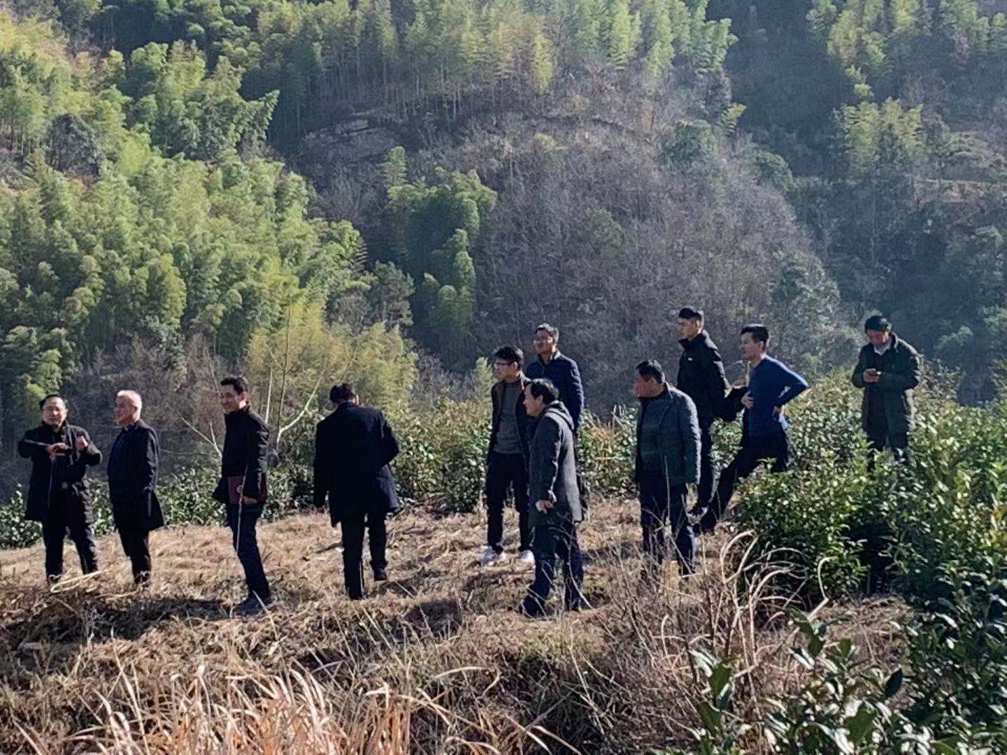 王光軍調研高橋灣雙山廟旱砂處置前期工作