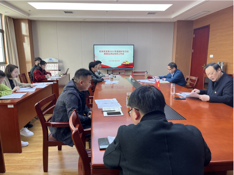 大別山國投集團(tuán)召開2022年度組織生活會(huì)