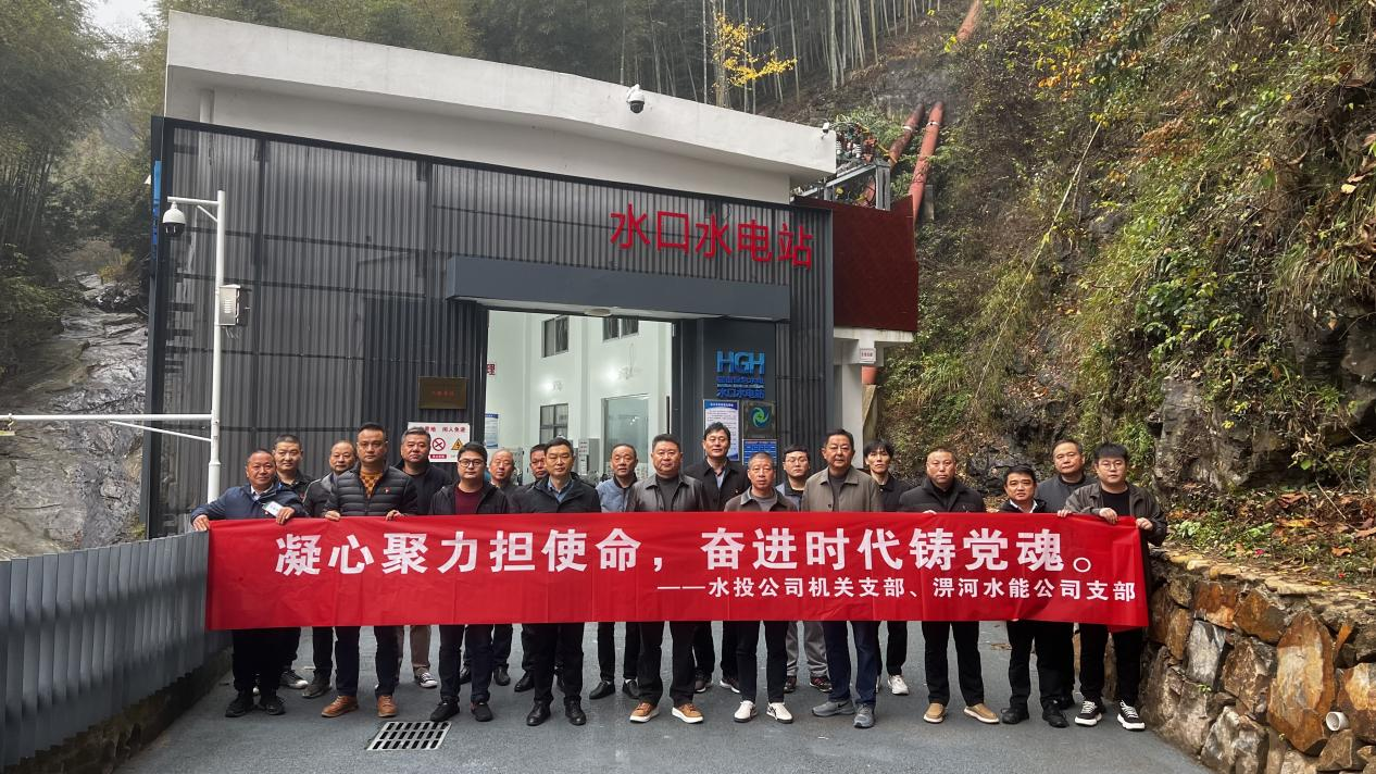 水投公司組織開(kāi)展主題黨日活動(dòng)