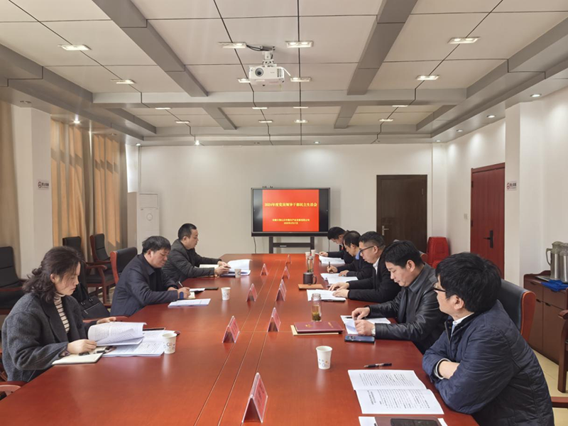 鄉(xiāng)村振興公司召開2024年度黨員領(lǐng)導干部民主生活會