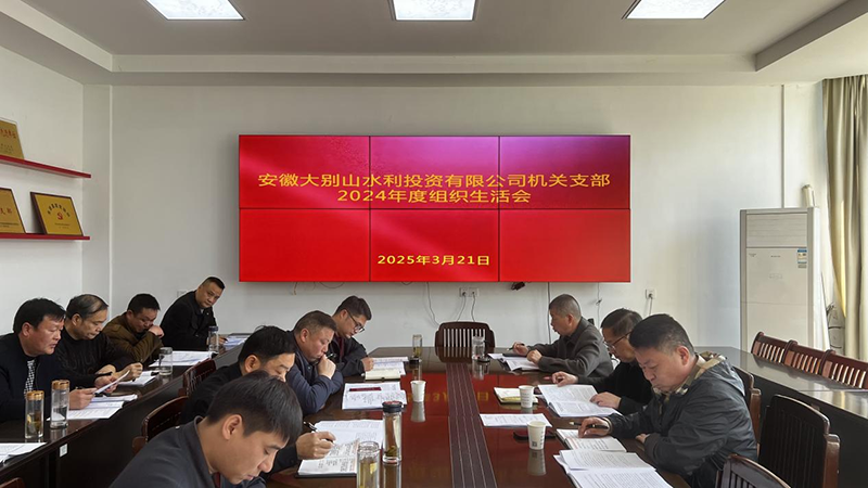 水投公司機關(guān)支部召開2024年度組織生活會