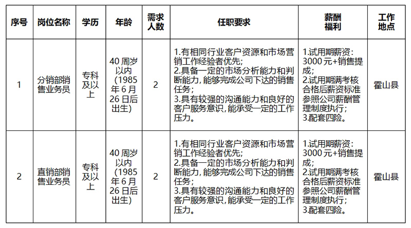 安徽大別山鄉(xiāng)村振興產(chǎn)業(yè)發(fā)展有限公司2025年招聘臨時工作人員公告（二）